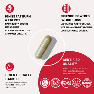 NAD+BURN® 60 Capsules | Burn Fat, Curb Appetite,  Boost Energy & metabolism, reduce cravings, and enhance vitality with NAD+BURN®. Cellregen