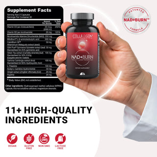 NAD+BURN® 60 Capsules | Lose Weight, Burn Fat, Boost Energy & Enhance Anti-Aging Support Cellregen